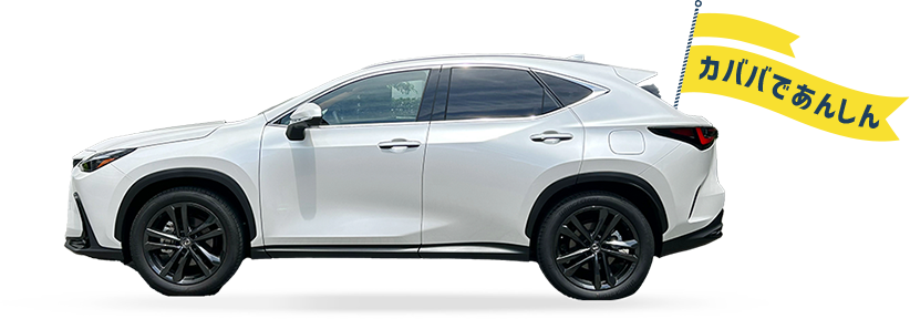 カババであんしん愛車出品