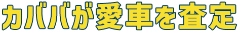カババが愛車を査定