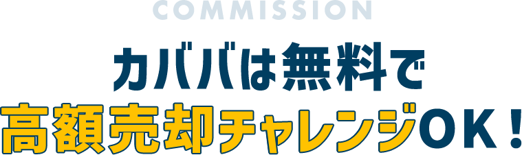 カババの手数料一覧