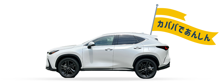 購入手続き後の流れ、保証について